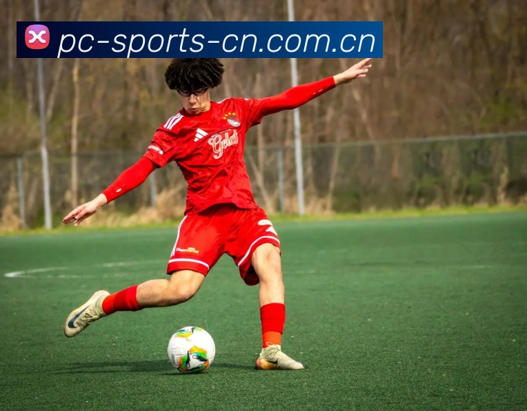 pc28官方网站APP 封面图